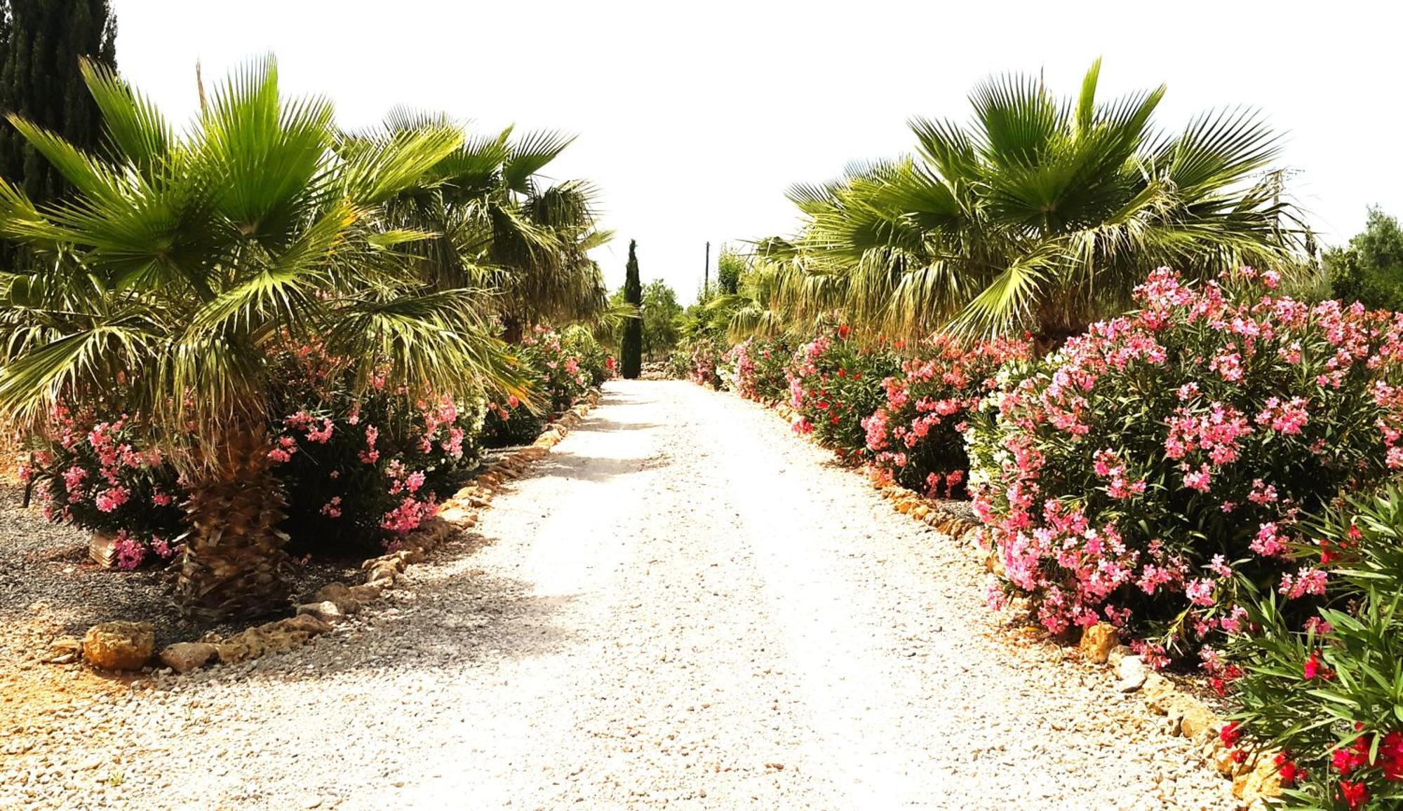 Finca Alqueria Fosca Campos  Exterior foto
